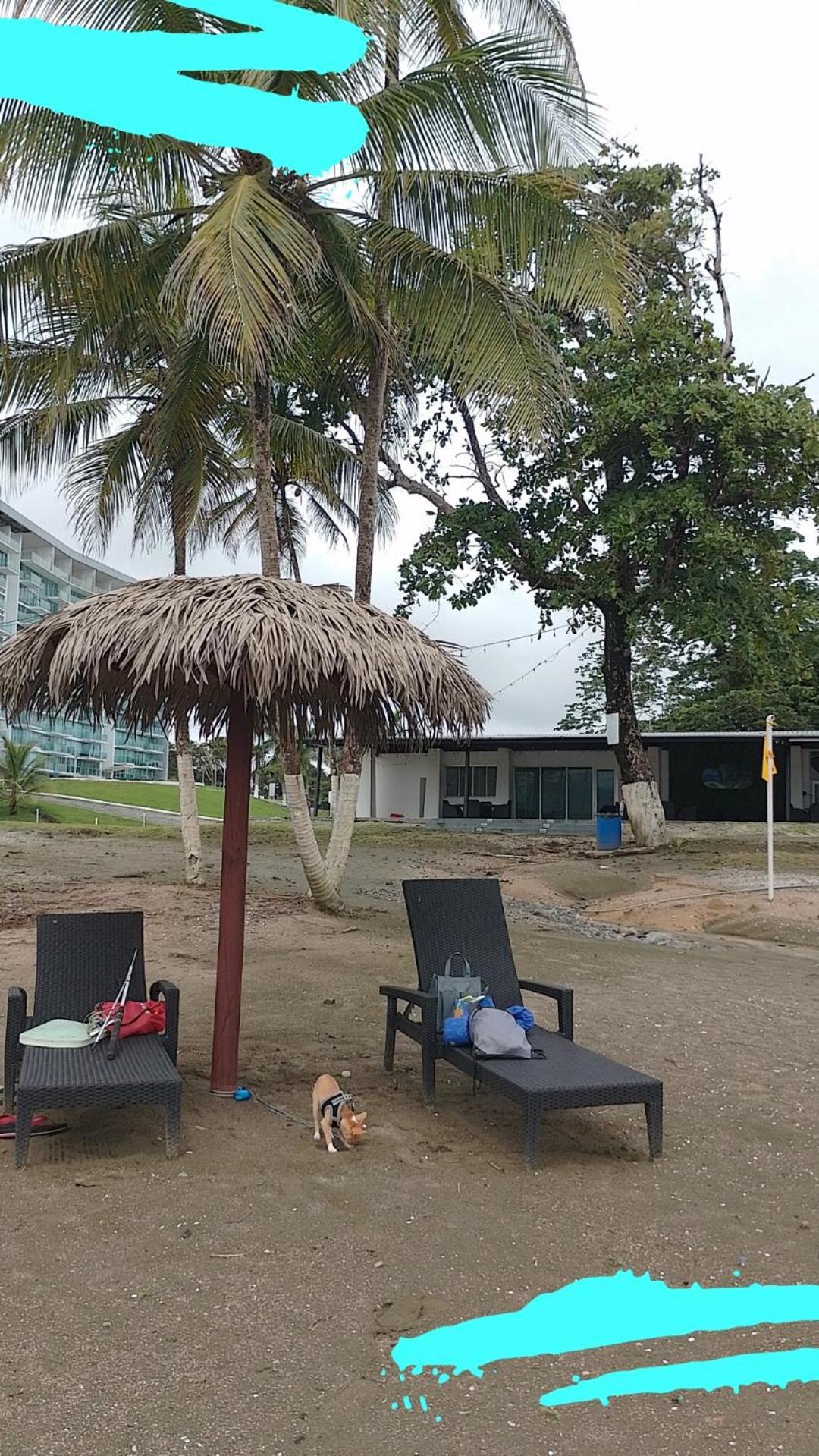 Apartamento En Balabeach Maria Chiquita In Front Of The Beach 2Hab Colon Phòng bức ảnh