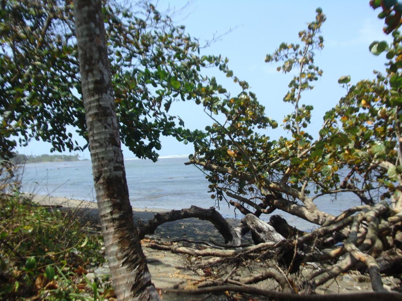 Apartamento En Balabeach Maria Chiquita In Front Of The Beach 2Hab Colon Ngoại thất bức ảnh