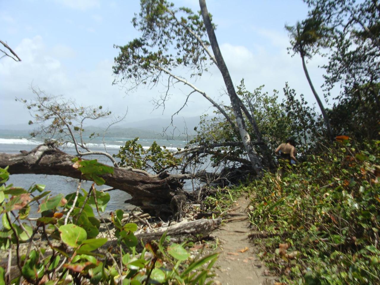 Apartamento En Balabeach Maria Chiquita In Front Of The Beach 2Hab Colon Ngoại thất bức ảnh