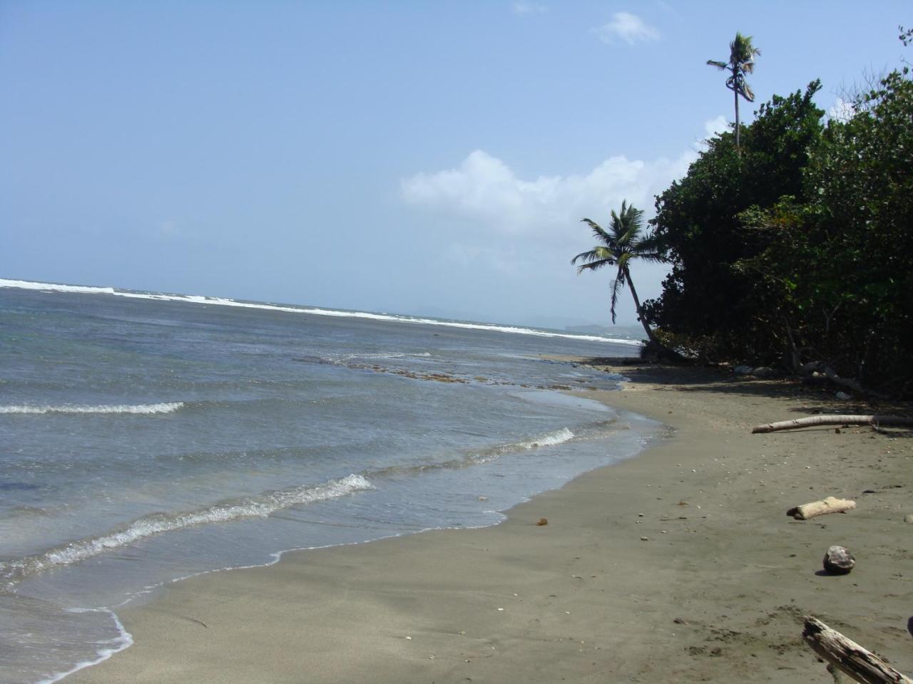 Apartamento En Balabeach Maria Chiquita In Front Of The Beach 2Hab Colon Ngoại thất bức ảnh
